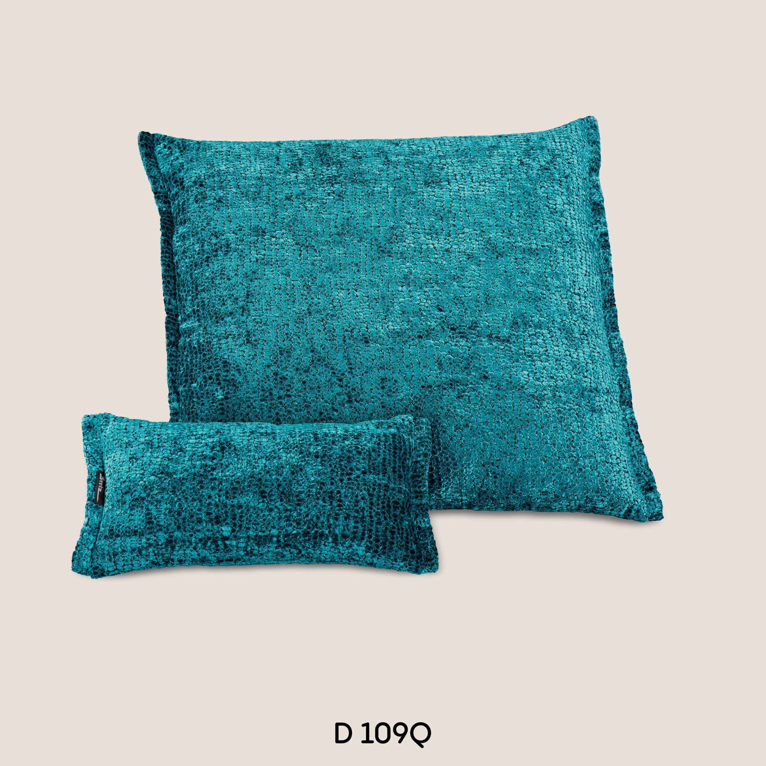 D109Q