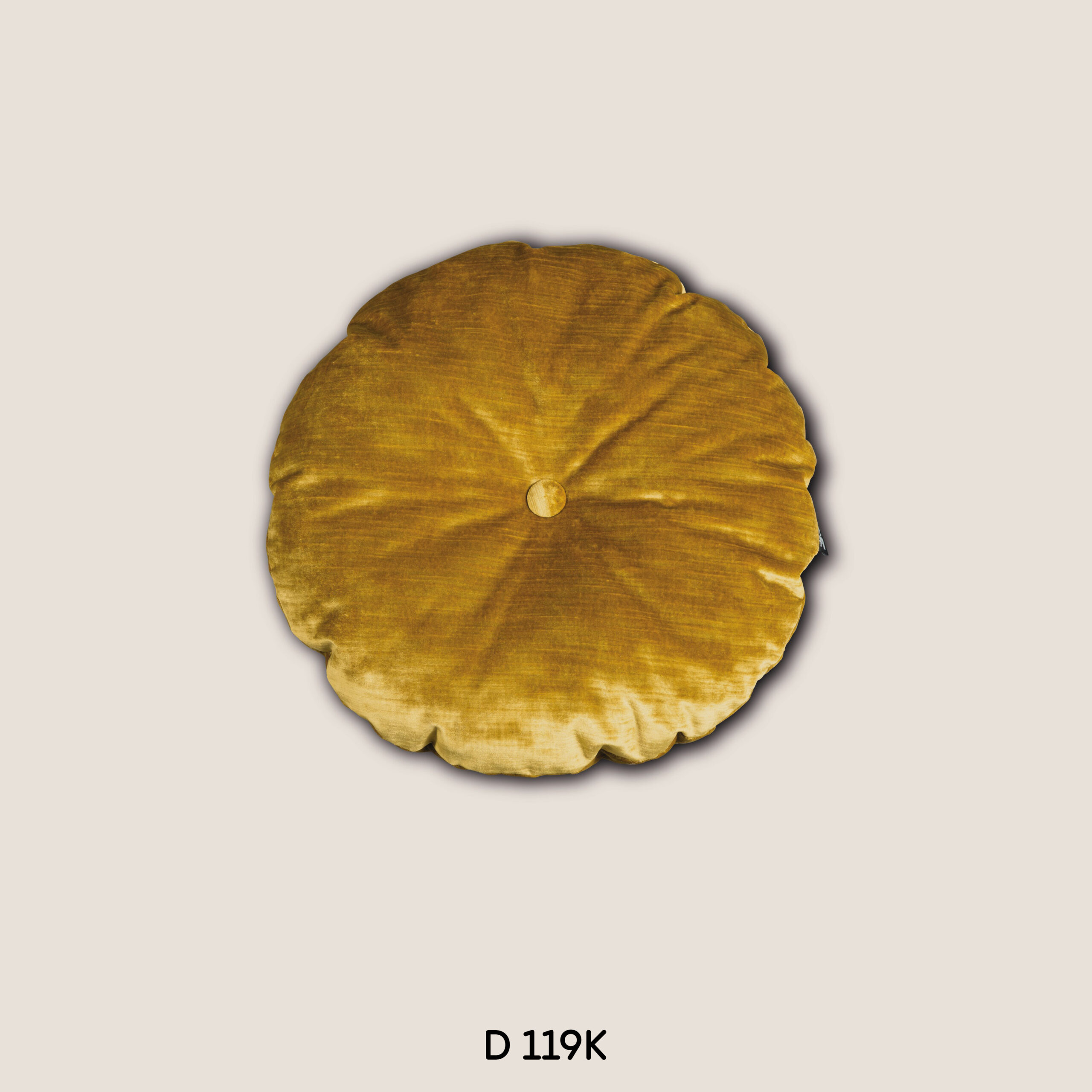 D119K
