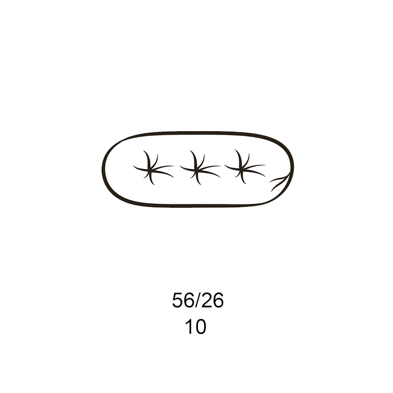 D 119N_méret